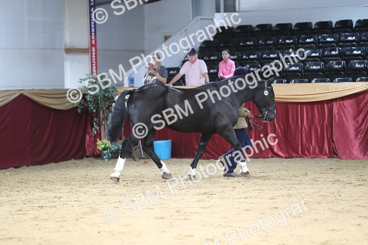 SBM_06328 - Class 9R Regional- IH Pre Vet
