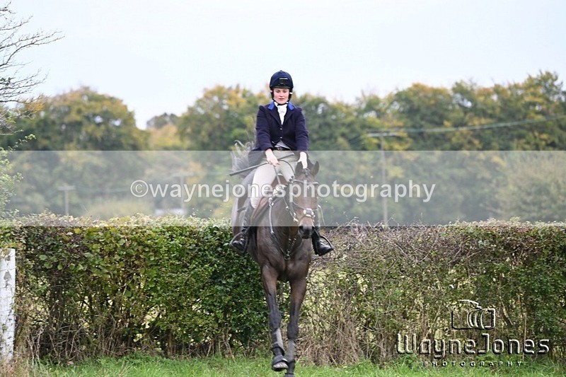 WJ6_1469 - Edited examples