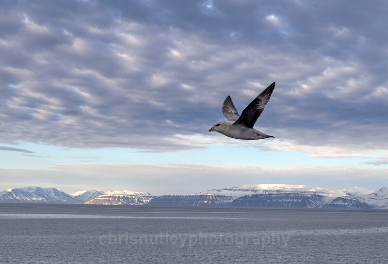  - Svalbard