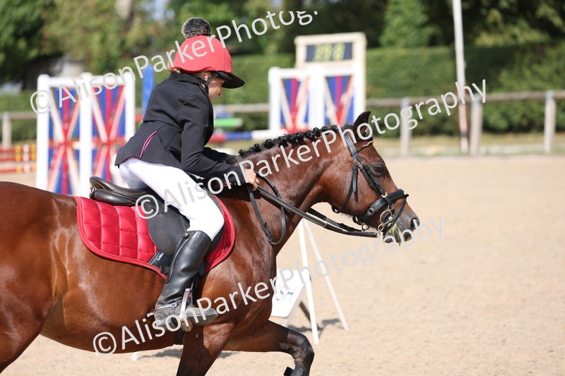 20250810-0652 - Class 3 - 60cm