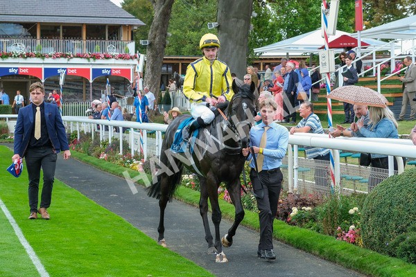 080925-Race 1-Proud Nation-7565 - Race 1 2.30pm Enter ITV7 For Free Confined EBF Maiden Stakes
