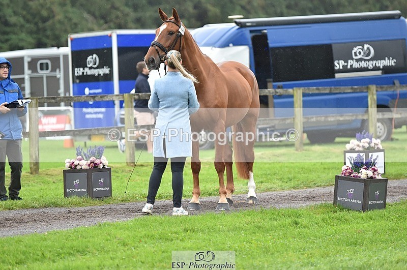 231018-123128-00351 - 043-OTTENTIK.NOBILITY-Dani.Evans-TrotUp