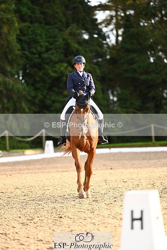 231021-161209-21049 - 264-BEST.ENDEAVOUR-Freddie.Taylor-DR