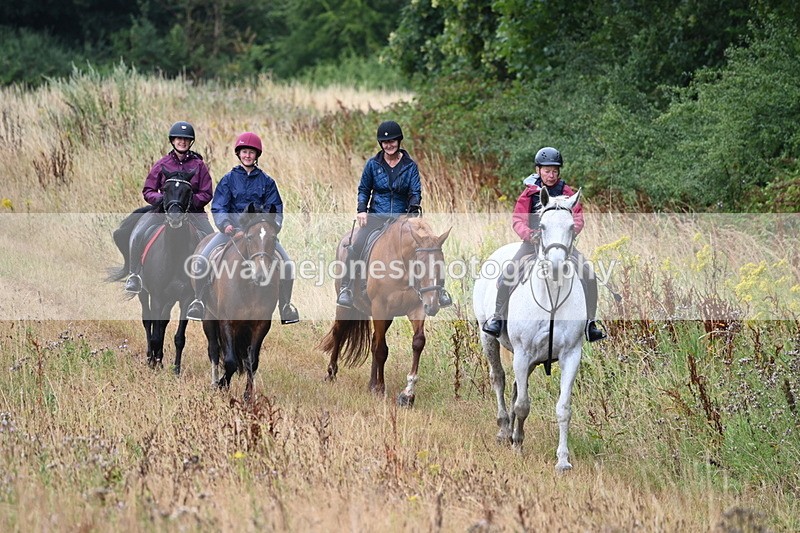 WJ6_1994 - Group 4