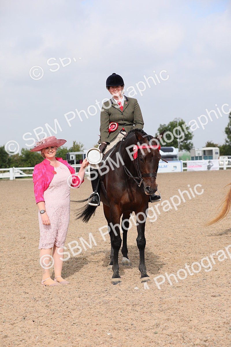 SBM_11478 - Class 305 Ridden Foreign Breeds- Pure Bred