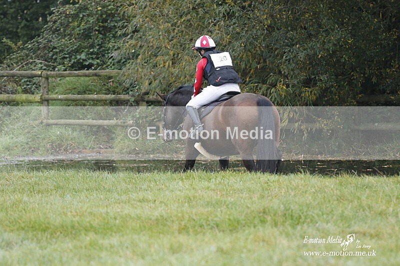 WWHT 171021 0452 - Novice Restricted (0.80m)  17/10/21