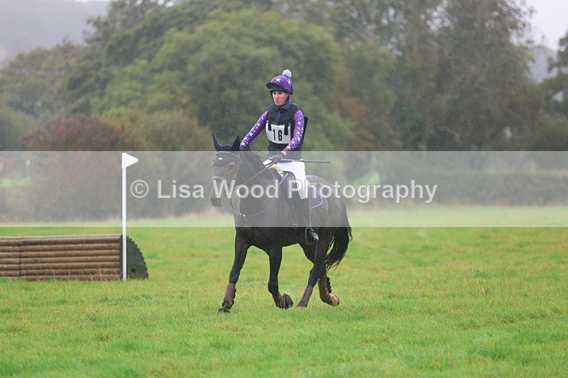 3E7A0941 - Class 1: 65cm: Rails