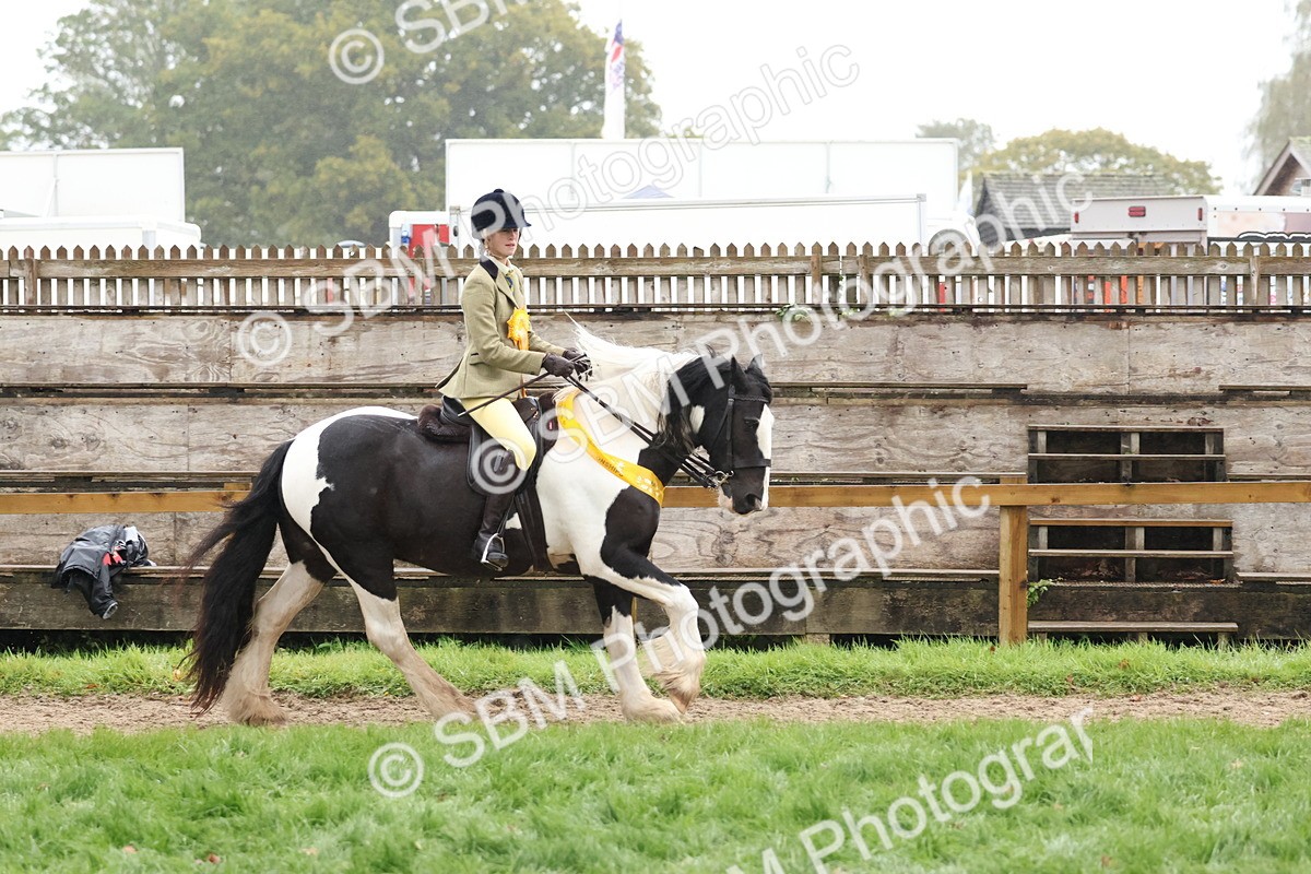 SBM_73130 - Ridden Pony Supreme Championship