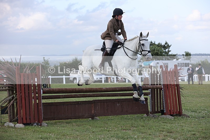 JPP_3605 - Class 24: Open Working Hunter