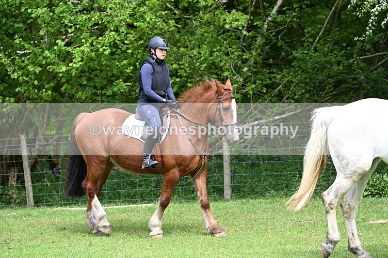 WJ7_2228 - Group 4 A&B Cameras