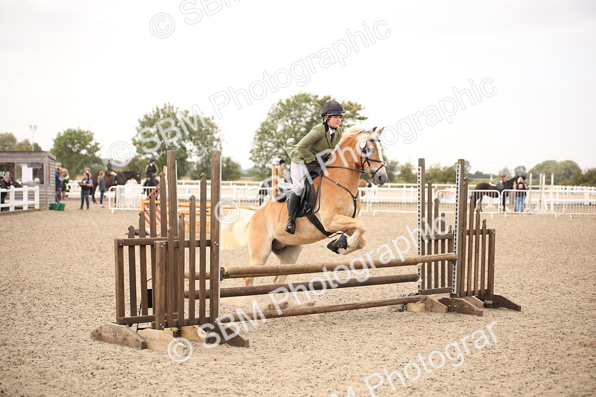 SBM_16168 - Class 409a - Working Veteran 80cm (15-19)