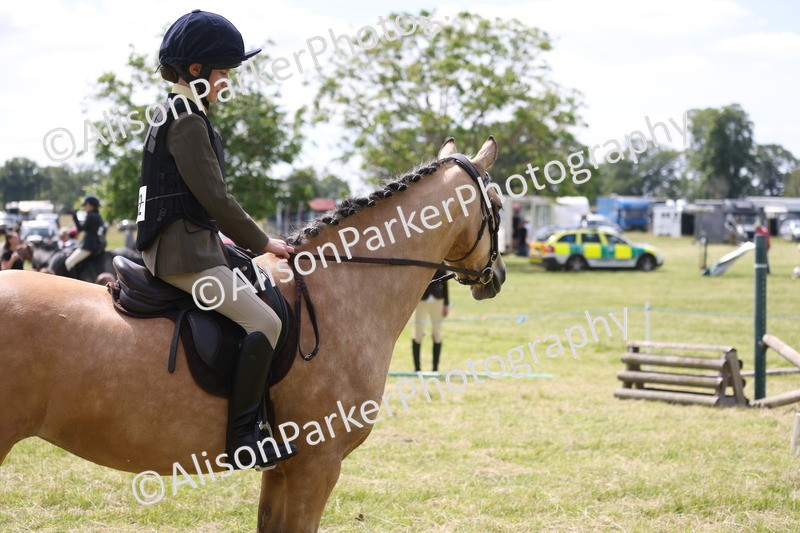 20260614-1804 - Class 21 - Novice Working Hunter Pony