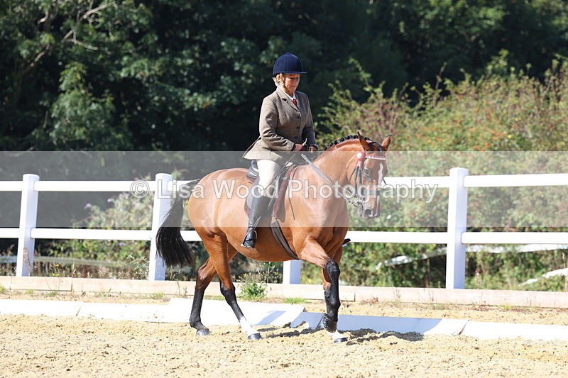 3E7A5704 - Class 10: Riding Horse