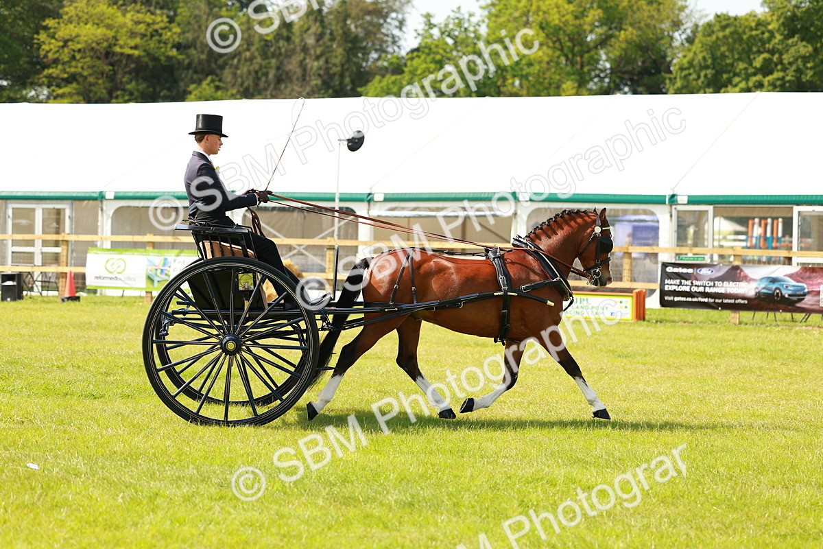 SBM_02701 - Class 2-4 - HOYS Private Driving