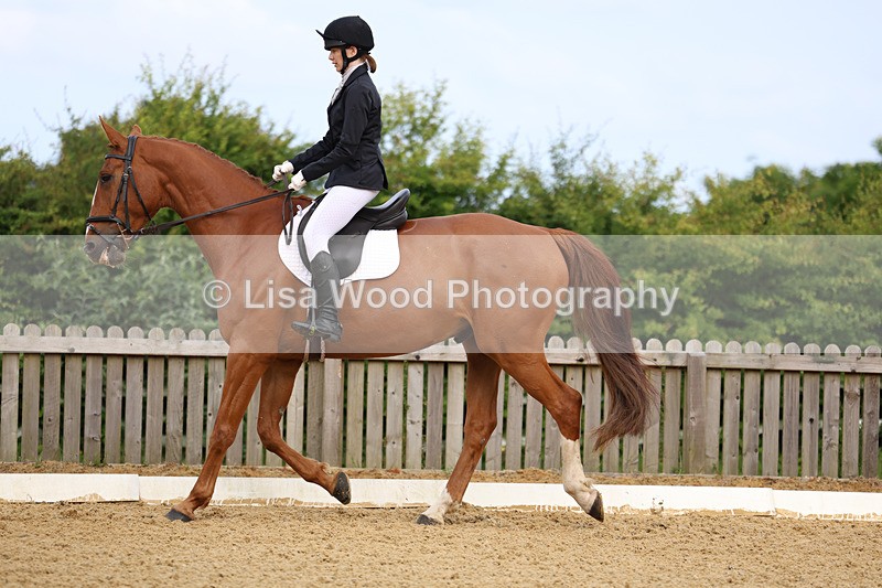 3E7A8577 - Class 1: Intro 1 2024 Section A