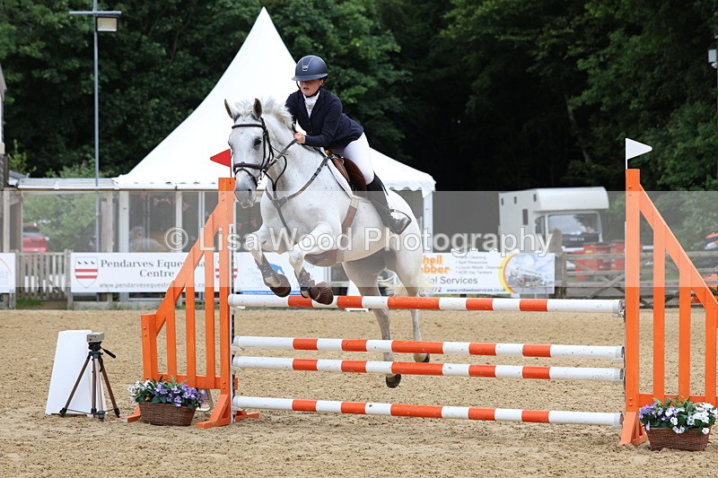 3E7A6078 - Class 4: Senior British Novice/90cm open
