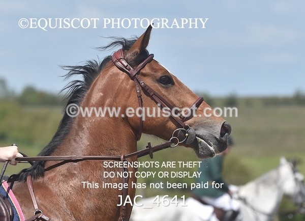 JAC_4641 - CLASS 7 Senior Foxhunter/ 1.20m Open