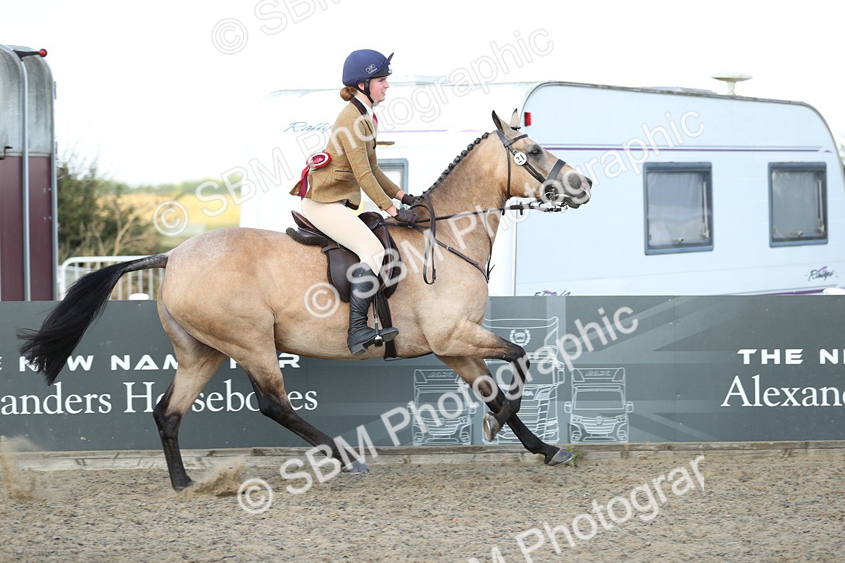 SBM_07026 - Class 49b Style & Performance 80cm (20+)