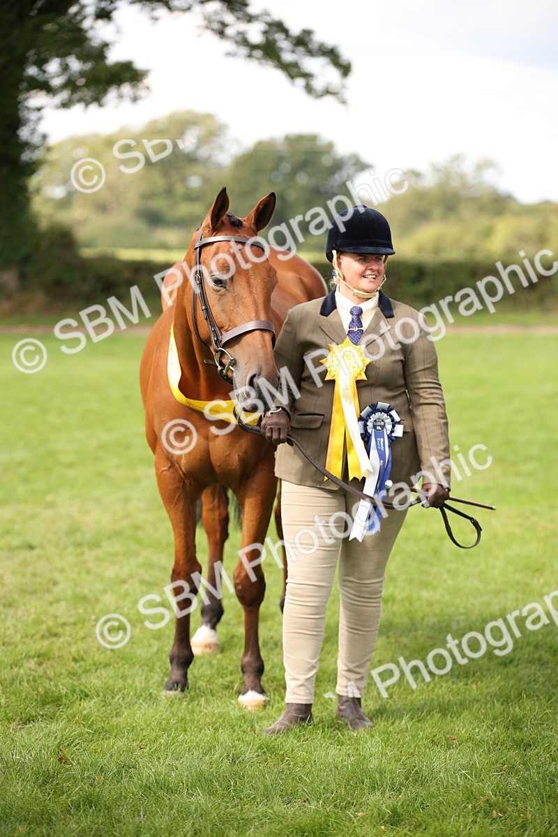 SBM_62973 - In Hand Horse Supreme Championship