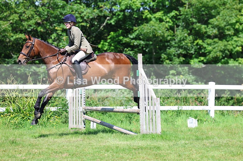 3E7A6971 - Class 30: Novice Working Hunter