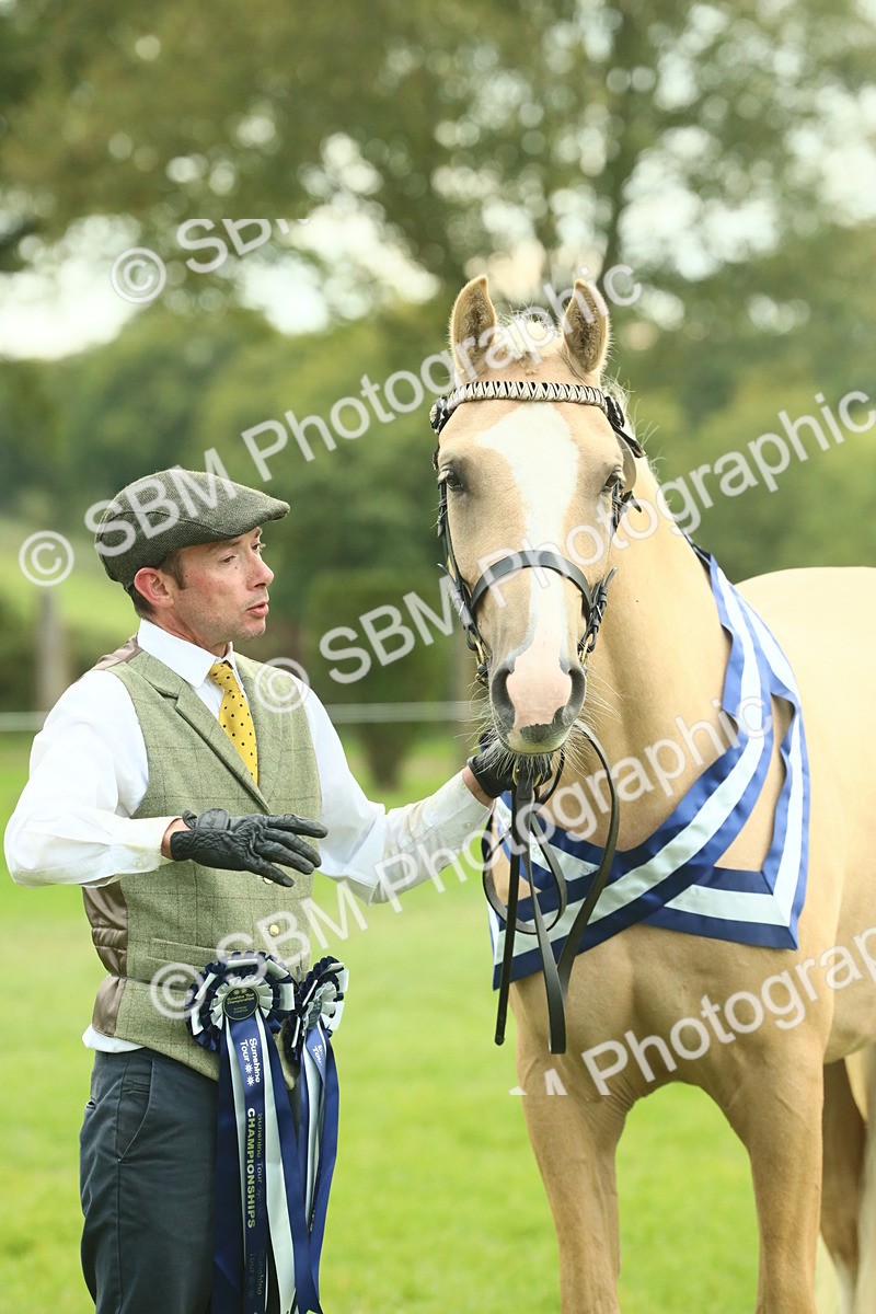 SBM_75257 - Super Supreme Championship