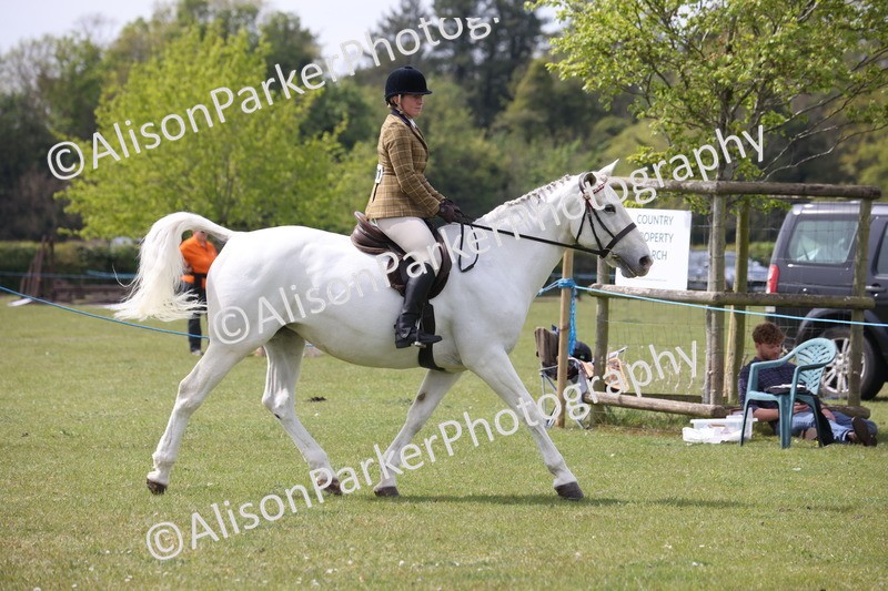 20260426-4416 - Class 34 - Best Riding Horse Over 14.2hh