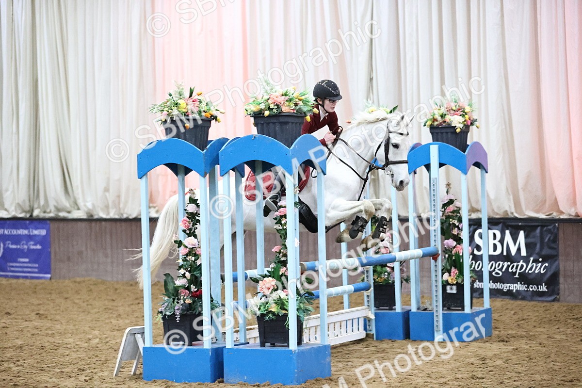 SBM_002027 - Class 8 - Senior British Novice - 90cm