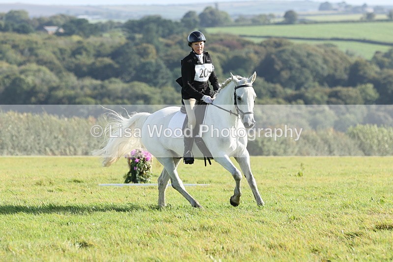 JPP_7903 - Class 2A: Trekenning Open: Dressage
