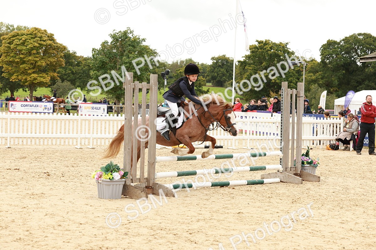 SBM_61936 - J12 - Junior Pony 55cm Championship