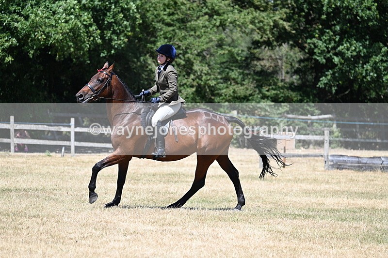 WJ7_3115 - Class 7 Riding Club Show Horse