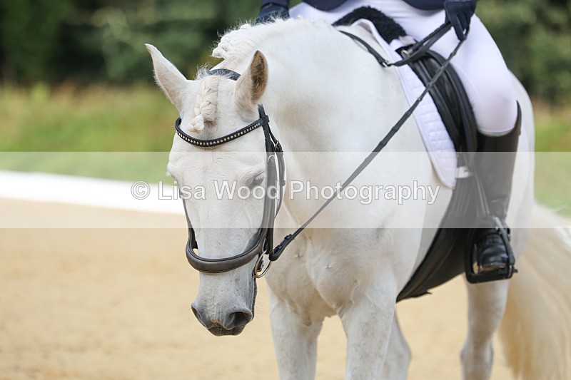 3E7A1977 - Class 1: Intro 4 2024 section A