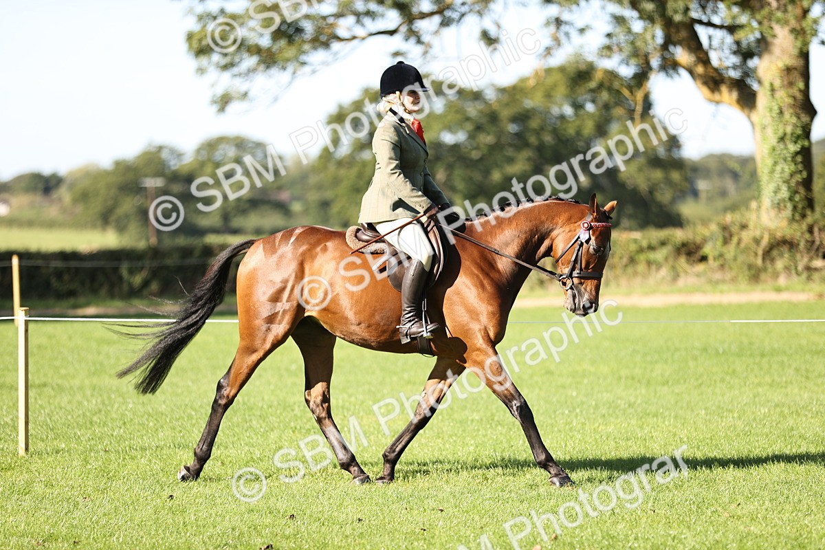 SBM_16907 - S2 - TSR Ridden Pony Showing