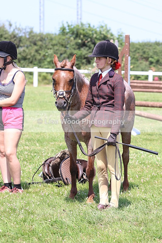 JPP_2836 - Class 21: Working Hunter 60cm