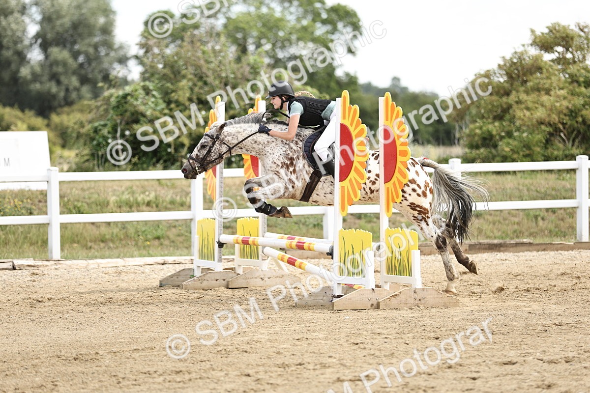 SBM_004147 - 60cm showjumping