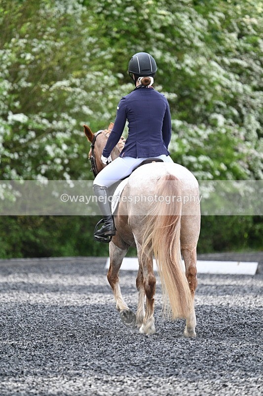 WJ7_8117 - Time 10:11 to 10:27