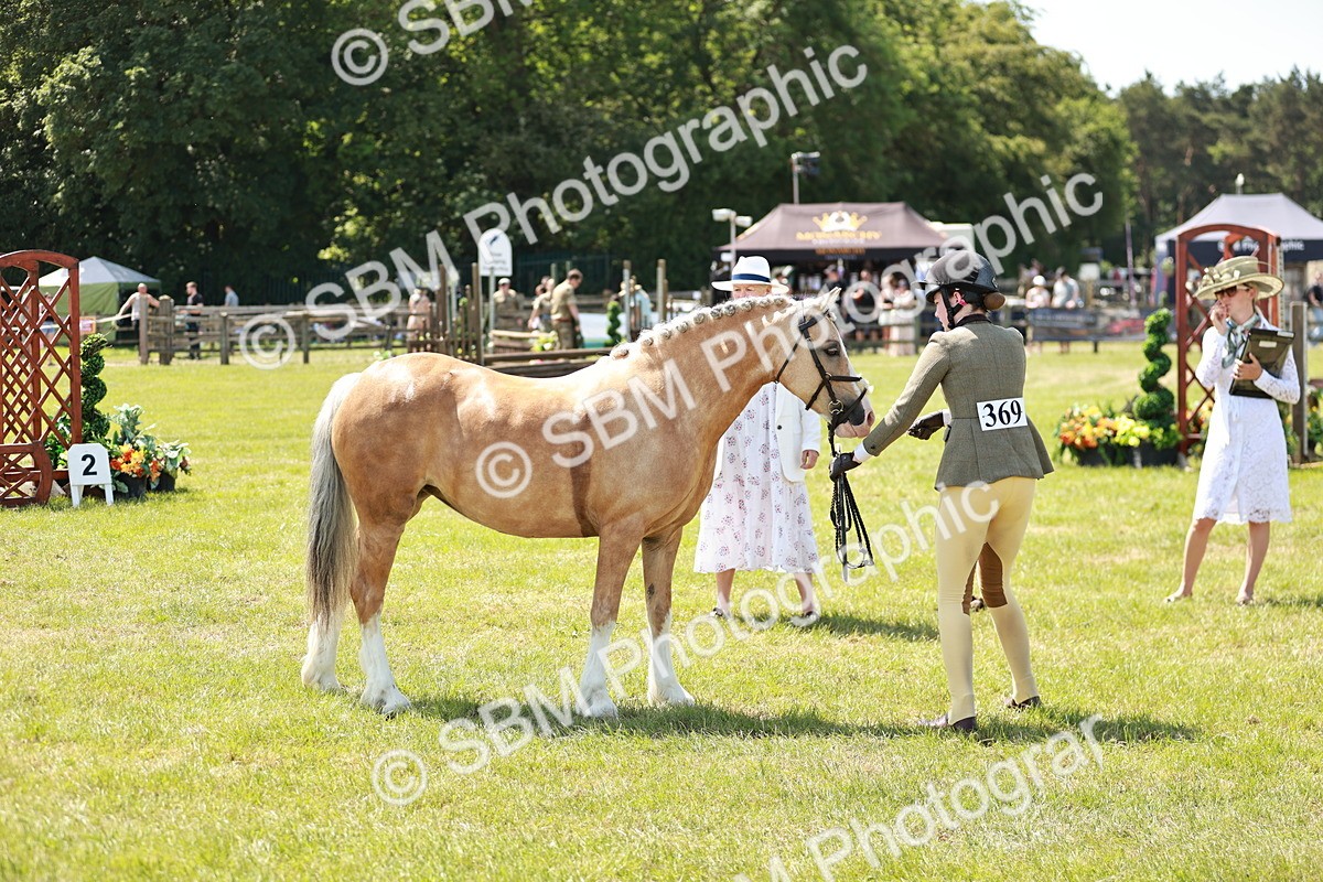 SBM_15695 - Class 108-109 - BSPS LIHS Open Gradle & Nursery Stakes