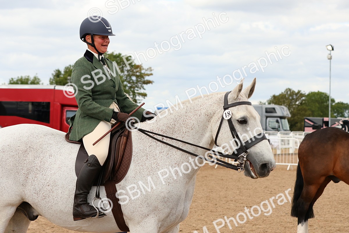 SBM_15535 - Class 214 - Ridden Show Cob