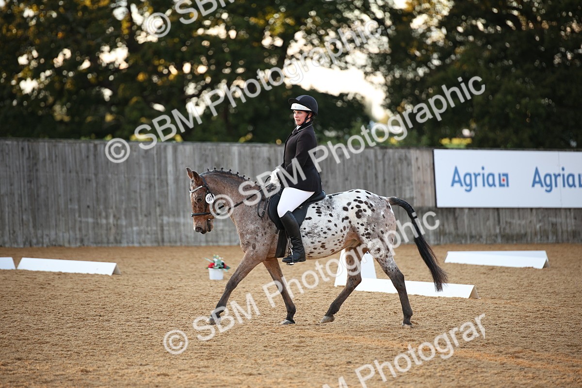 SBM_13358 - D3 Small  Tour Championship Intro A