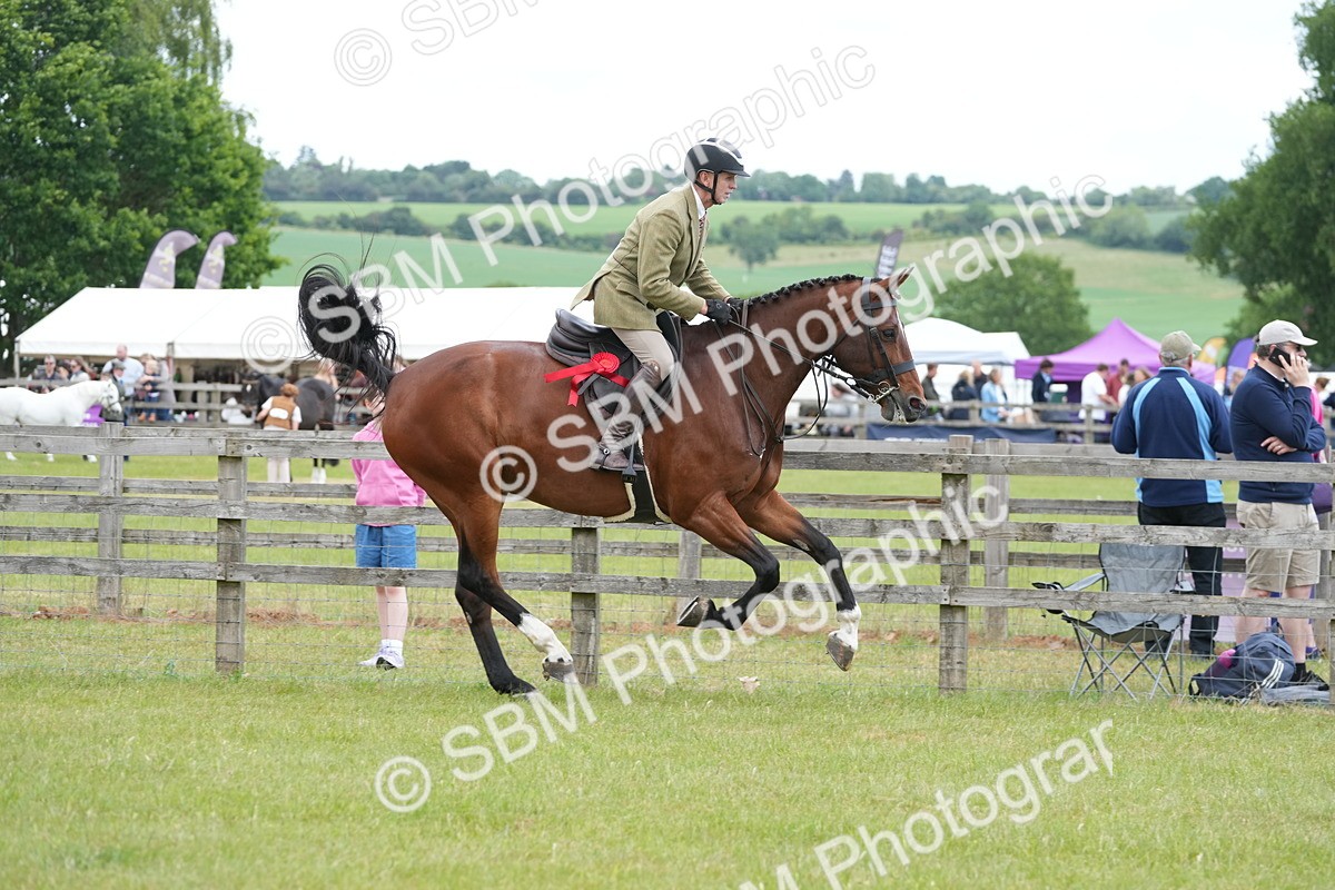 SBM_00012 - Class 100-102 - RIHS Working Hunter