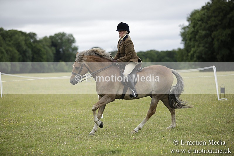 BVR160717-1307 - Ring 1 BVRC Show 16/07/17