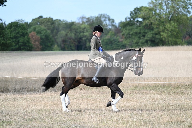 WJ7_7647 - Ridden Championship