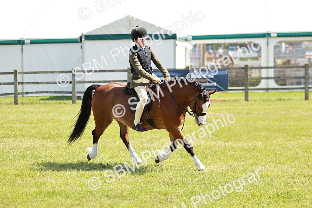 SBM_13565 - Class 108-109 - BSPS LIHS Open Gradle & Nursery Stakes