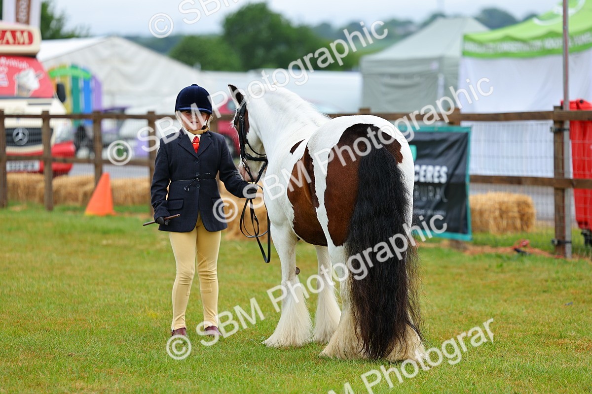 SBM_00976 - Class 1-4 - BSPA Ridden