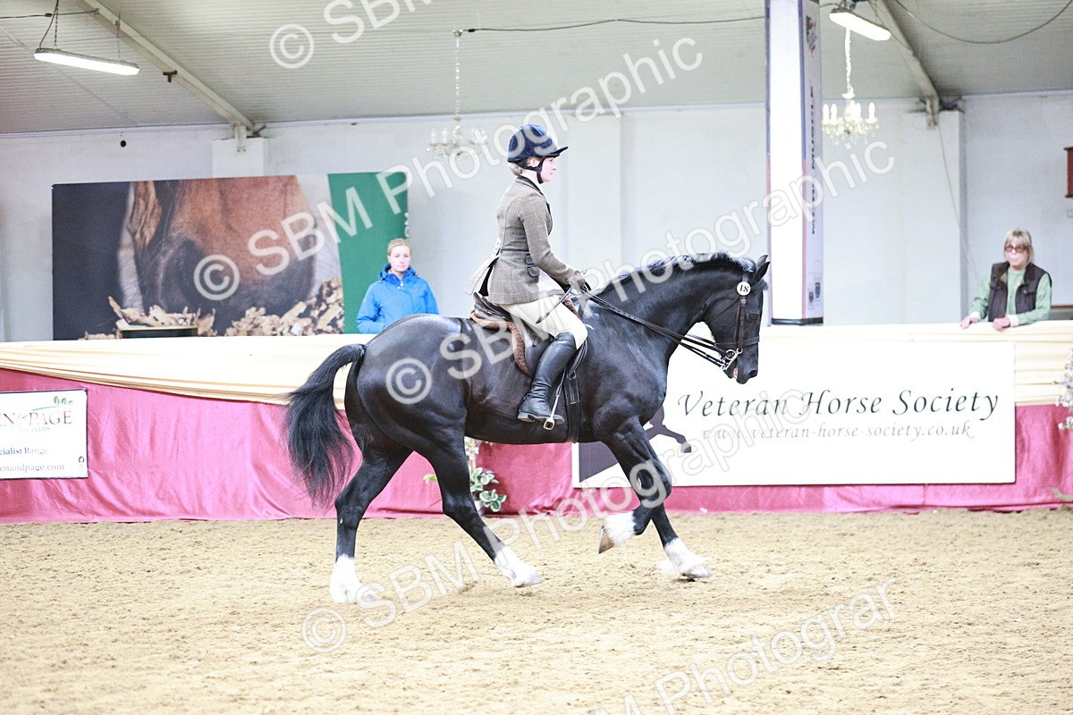 SBM_03506 - Class 6A Area Ridden Pre-Vet
