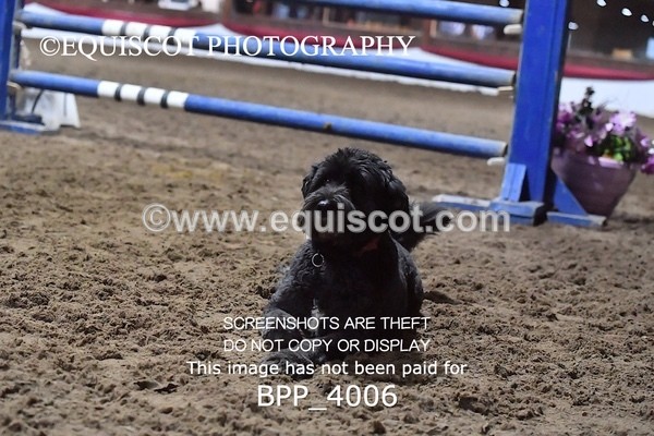 BPP_4006 - CLASS 31 Springboard 128cm/ 138cm Restricted Handicap