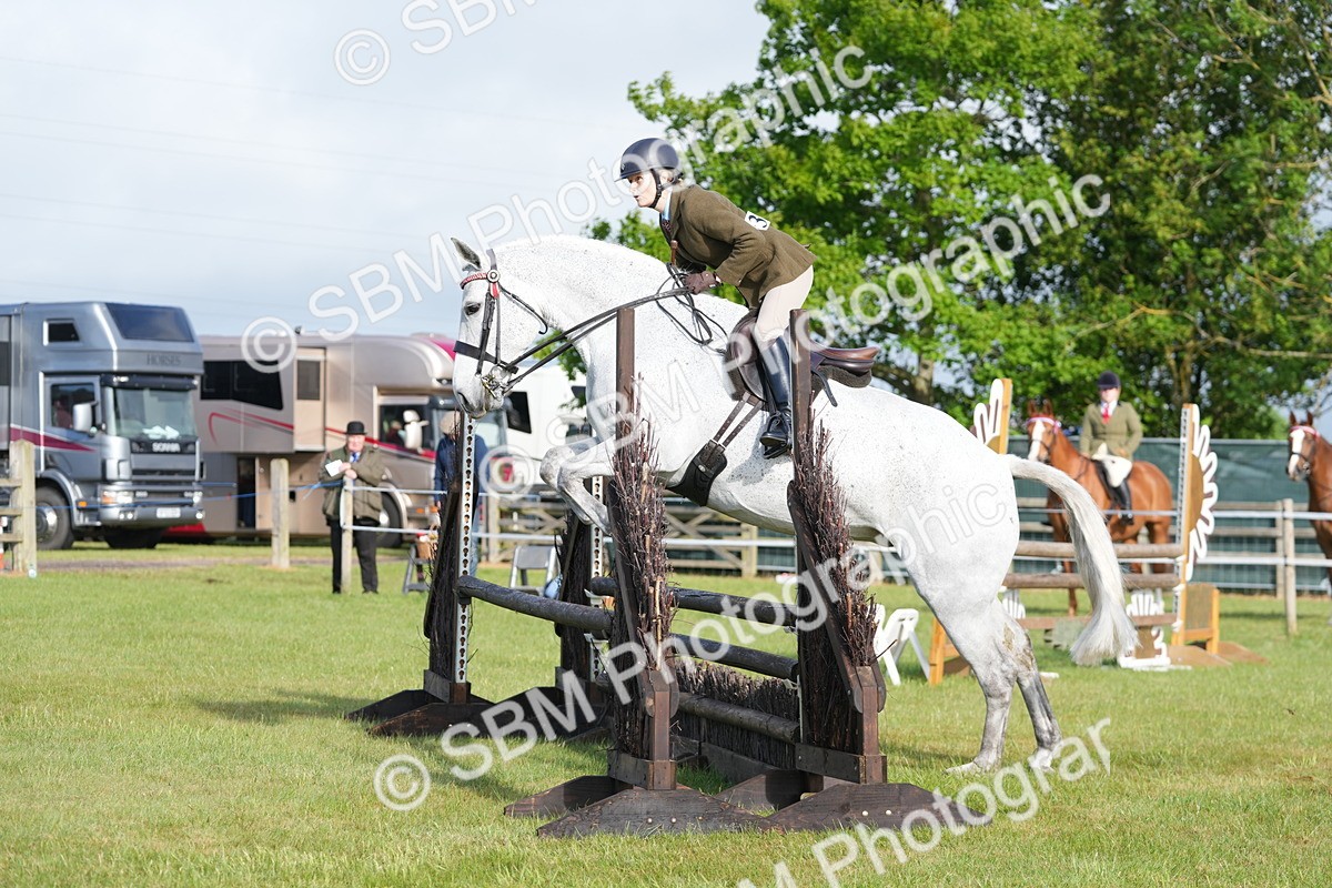 SBM_10552 - Class 97-98 - LIHS BSHA Rising Star Working Show Horse Hunter