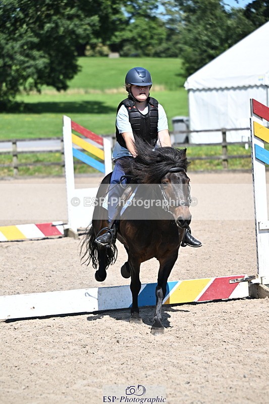 240729B-114514-02532 - Showjumping Competition