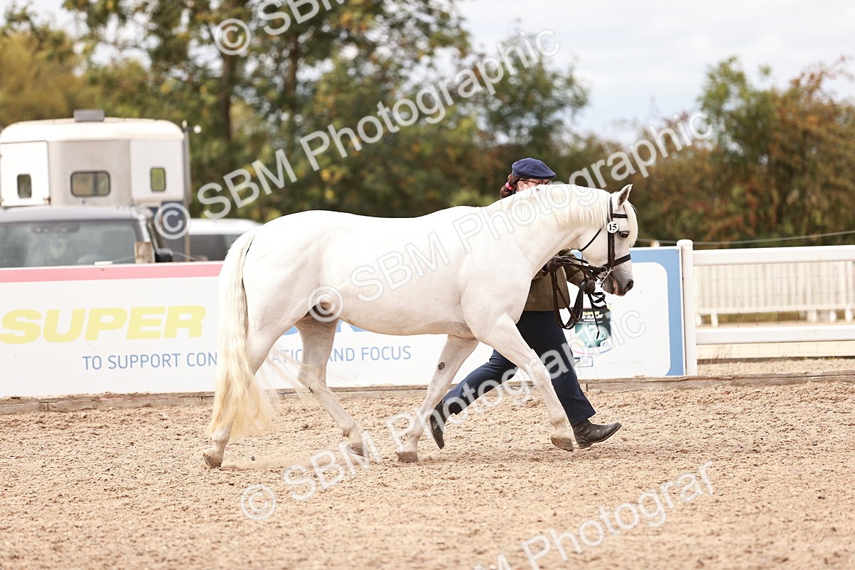 SBM_16301 - Class 413 - Best Condition - Adult