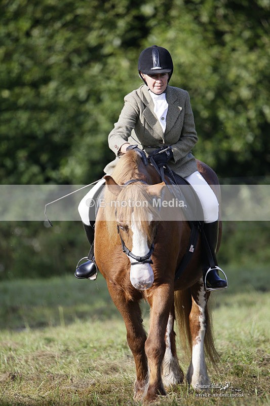 BVRC 120921 51 - Bourne Valley Riding Club UA Dressage & Show Jumping 12/09/21