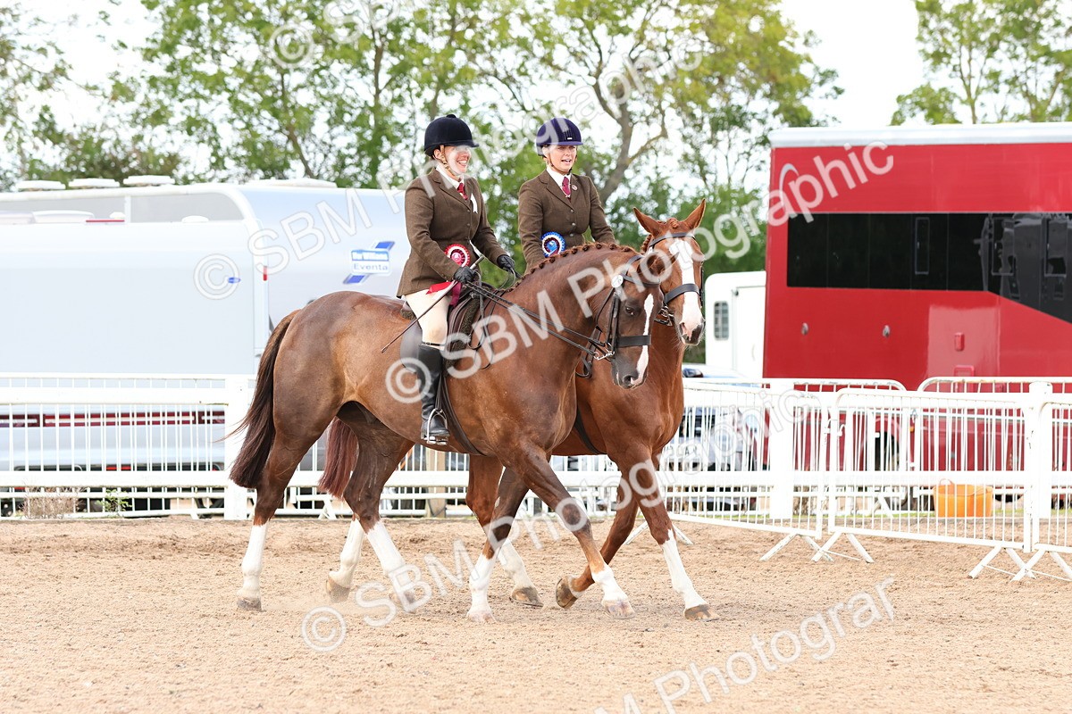 SBM_13587 - Class 212 - Ridden Hunter  - Large